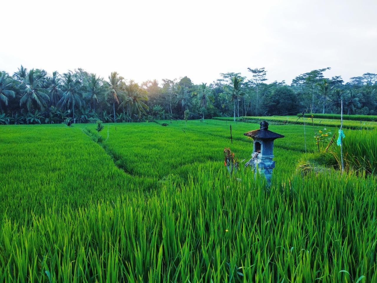 Villa Thani Ubud (Bali)