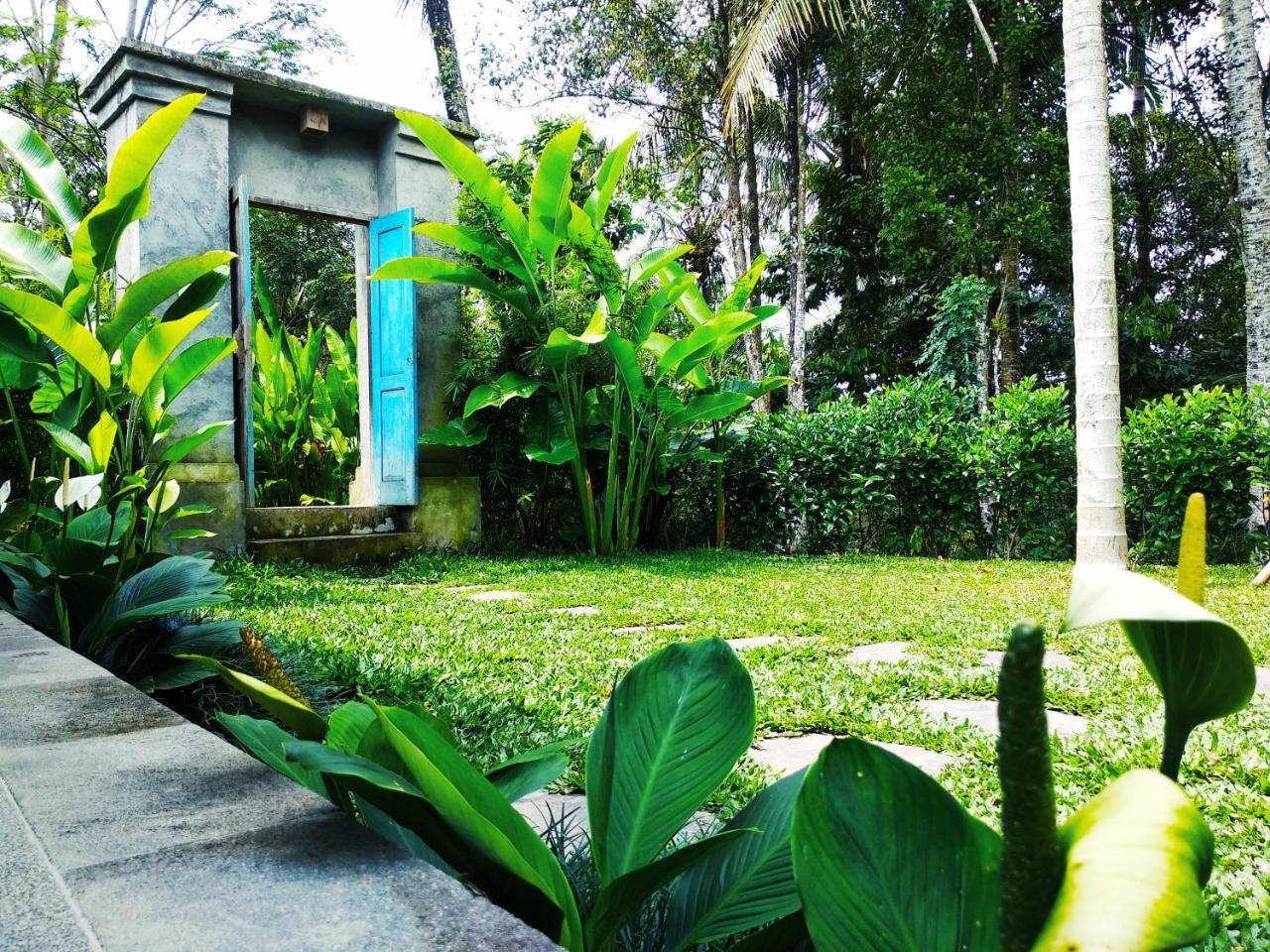 Thani Ubud (Bali)