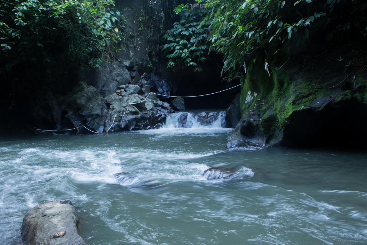 Anahata And Spa Resort