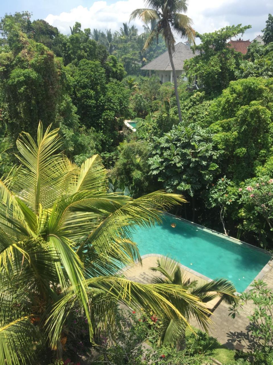 Raka Rai Guest house Ubud (Bali)