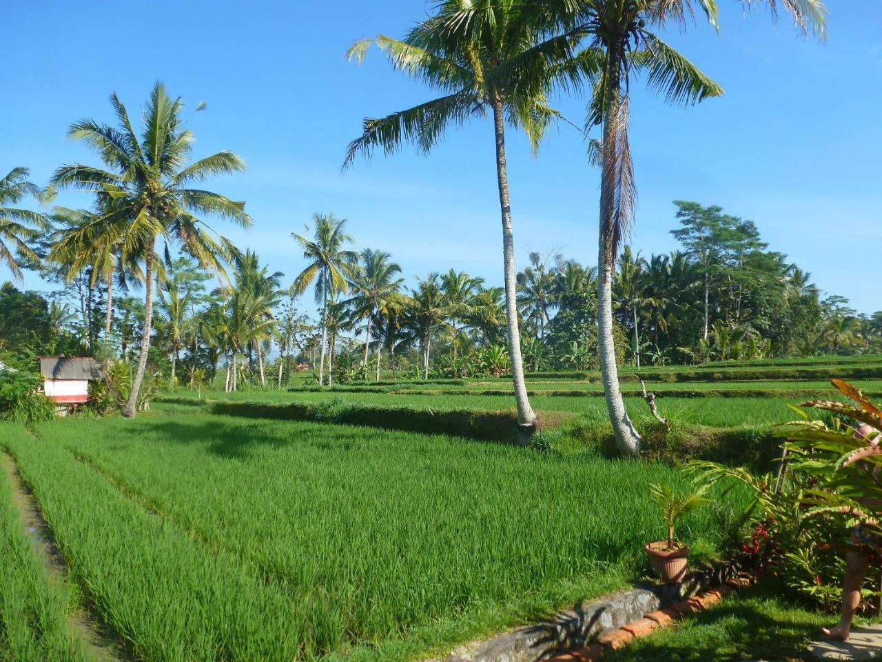 Bali Sawah Indah Guest house