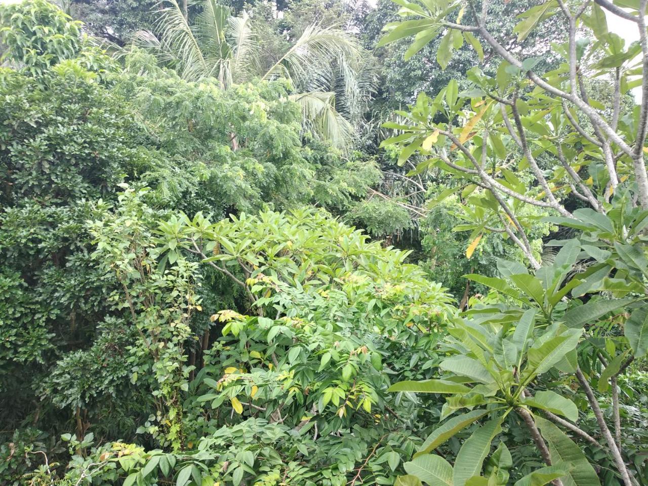 Guest house Utari House *