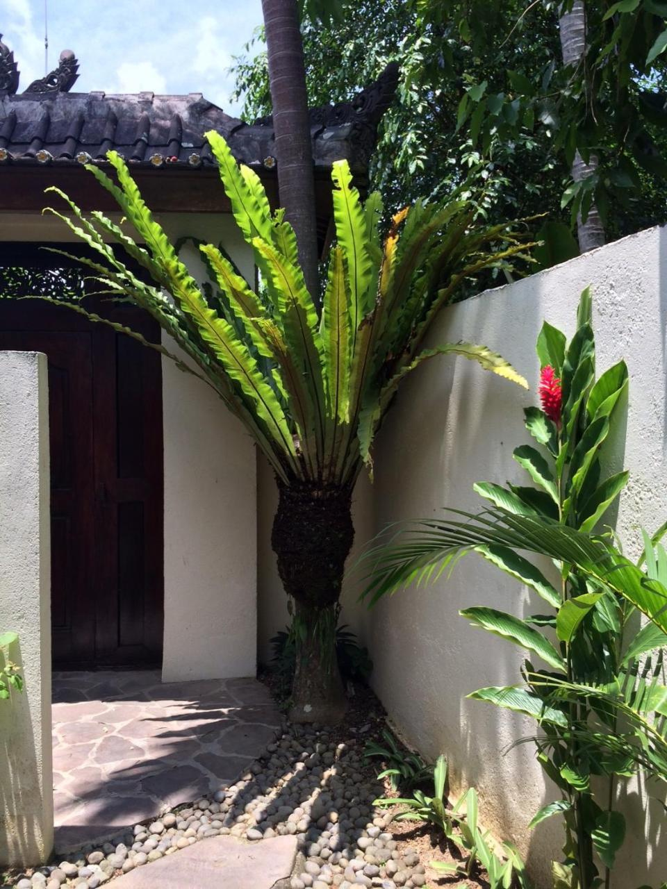 Bulan Mas Villa Ubud