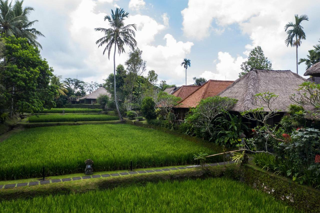 Resort Ananda 4*