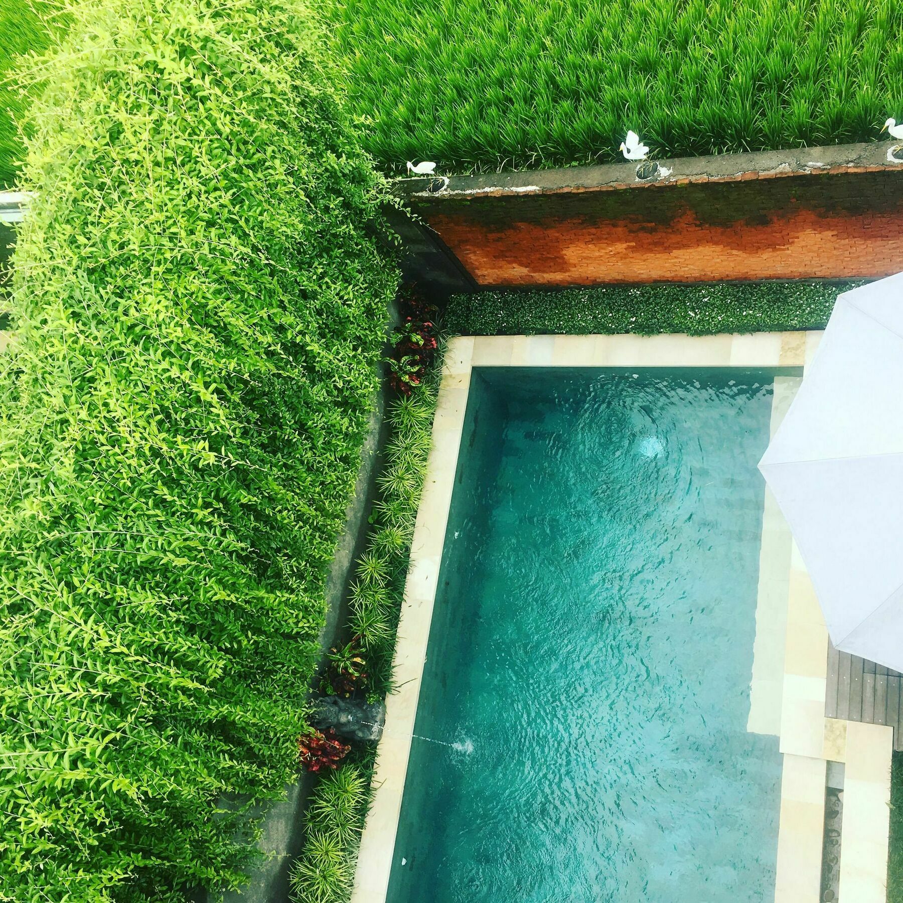 Villa Heaven Ubud