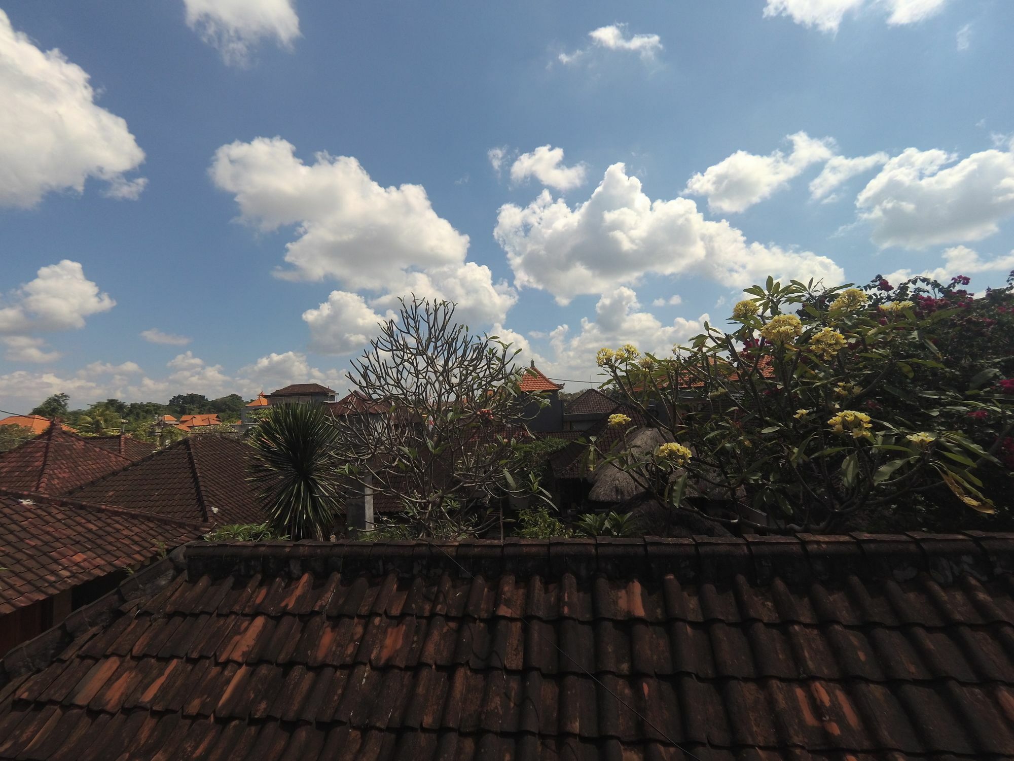 Homestay Rumah Ary & *