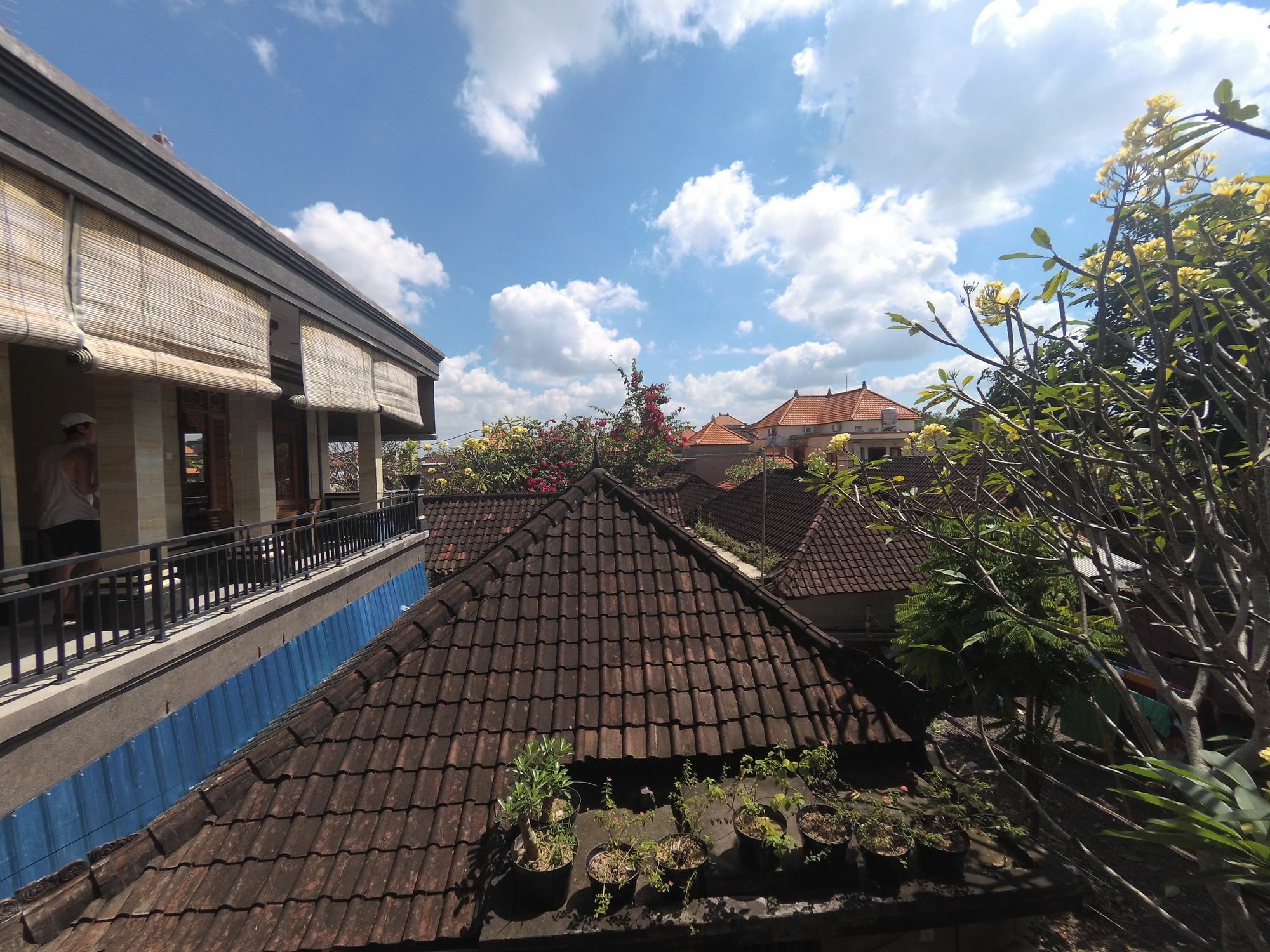 Rumah Ary & Homestay Ubud (Bali)