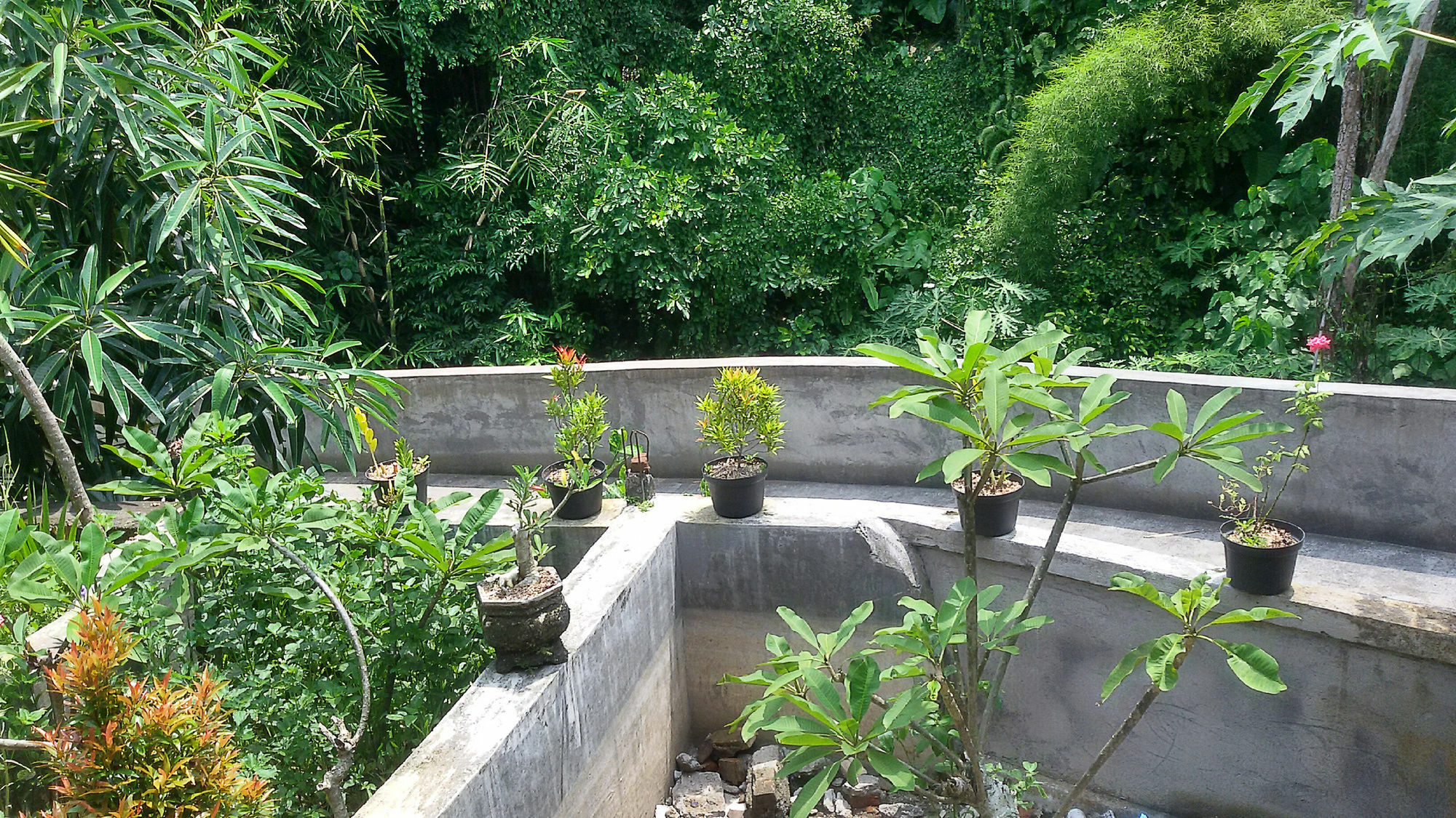 Homestay Karma House Ubud (Bali)