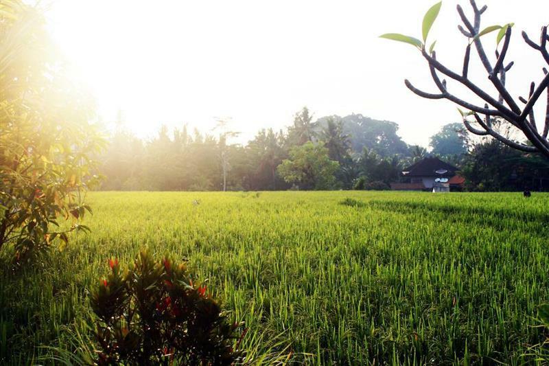 Bening Ubud (Bali)