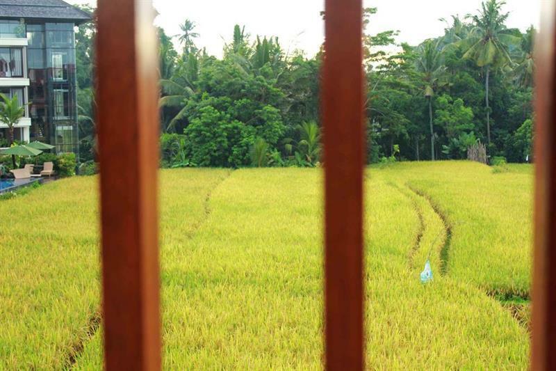 Guest house Bening