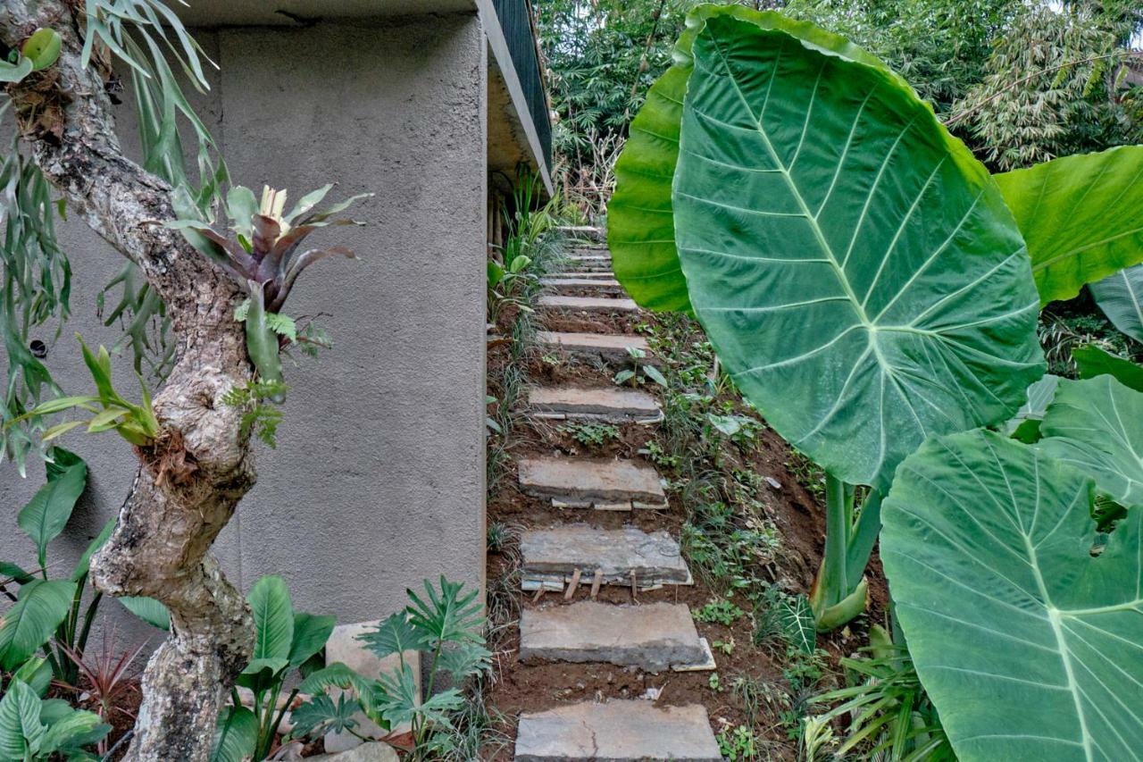 Gek House Bali Gasthof Ubud