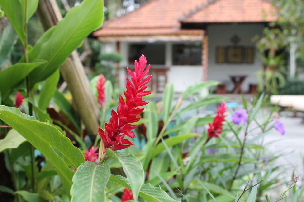 Sindu Ubud