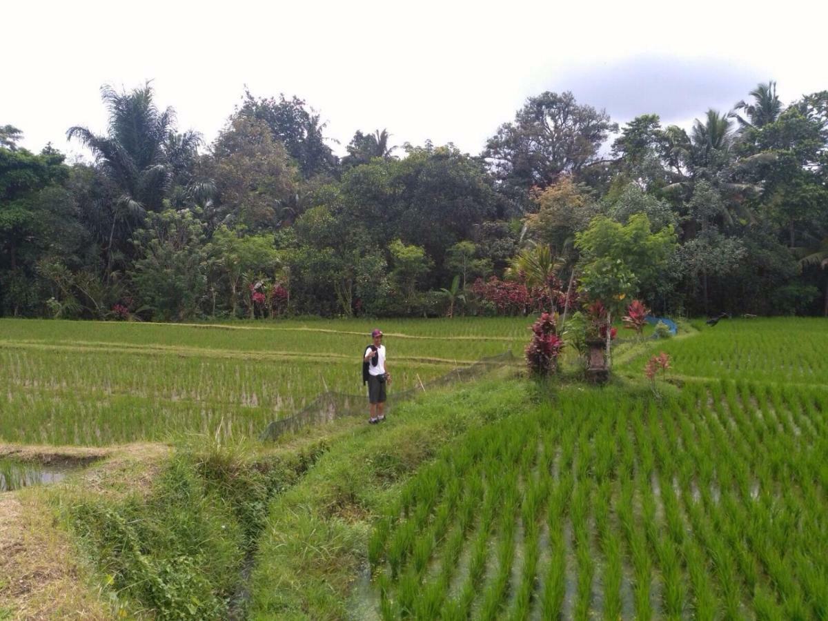 Bali Asli By Eps Guest house