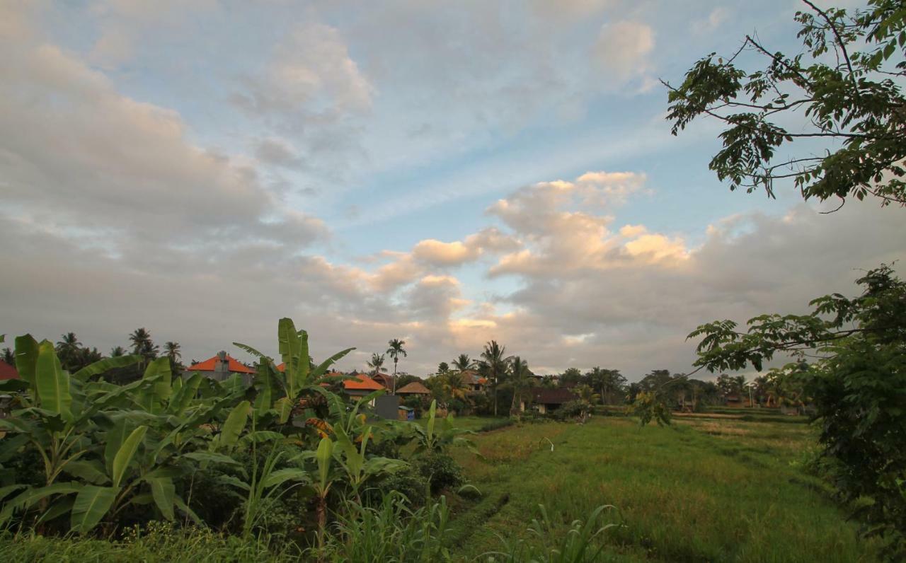 Gadri Ubud (Bali)