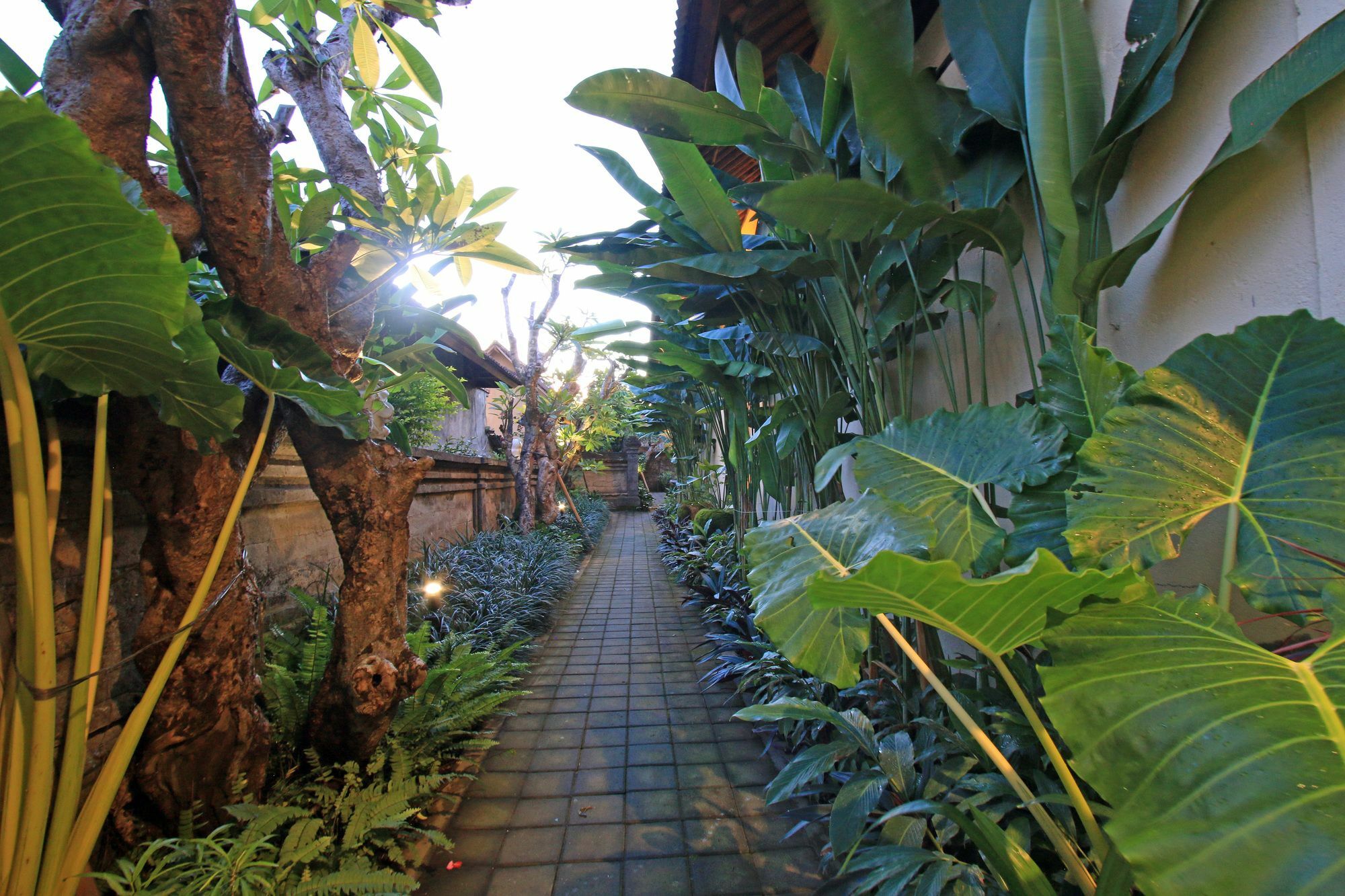 Arnawa Guest house Ubud (Bali)