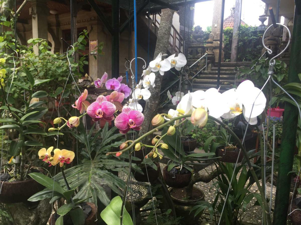 Homestay Tungeh