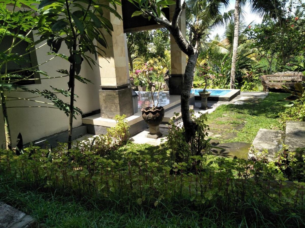 Guest house Wonder-land Ubud (Bali)