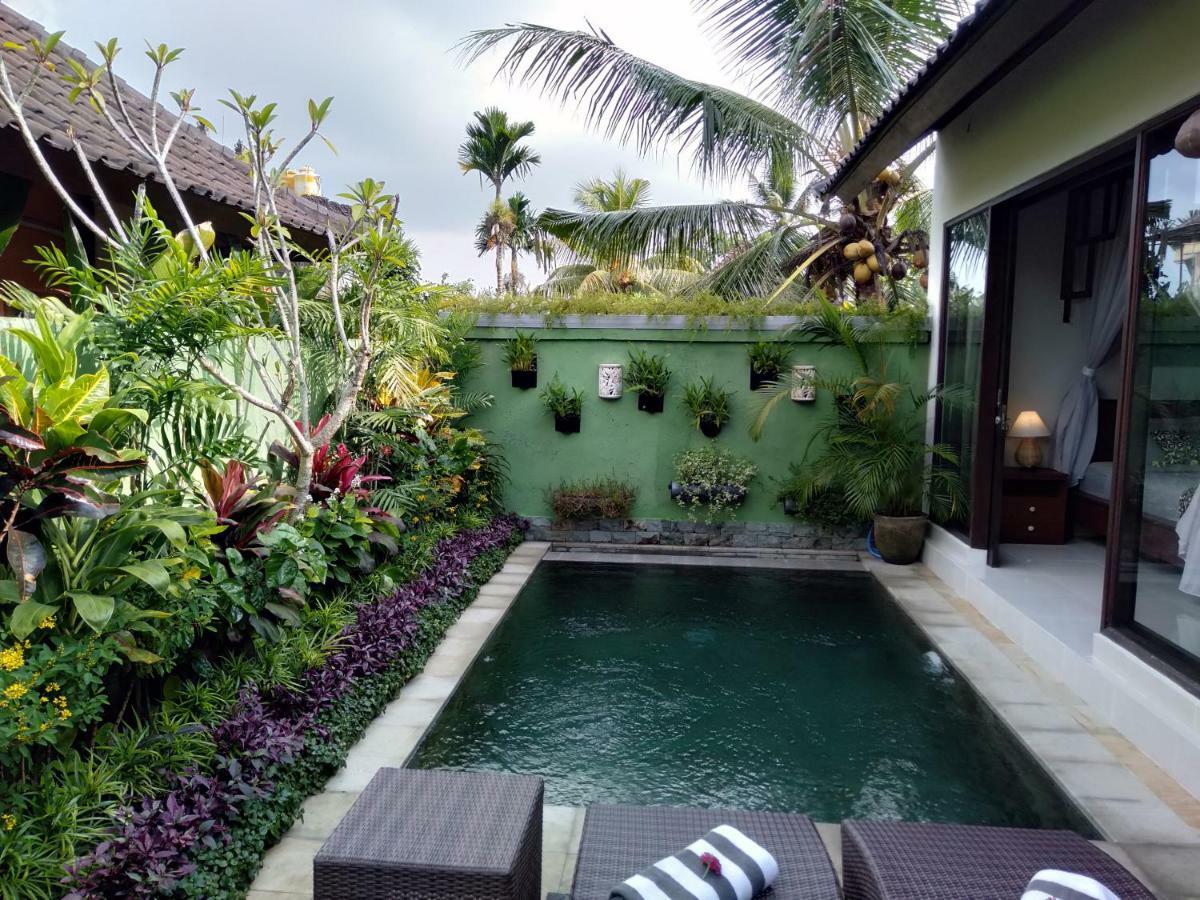 Apartment Rumah Mini