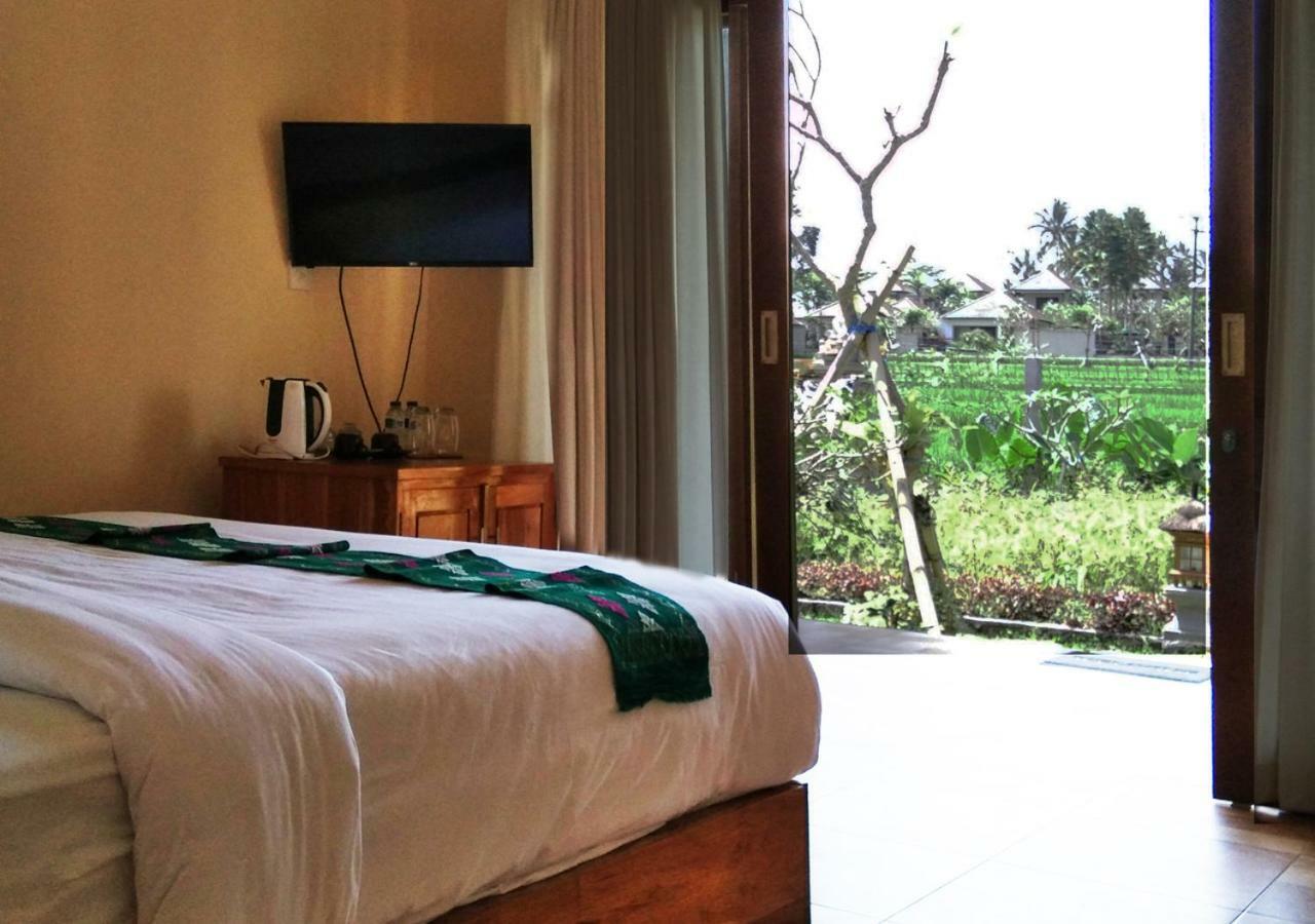 Senja D Guest house