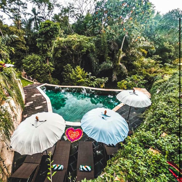 The Jungle Villa