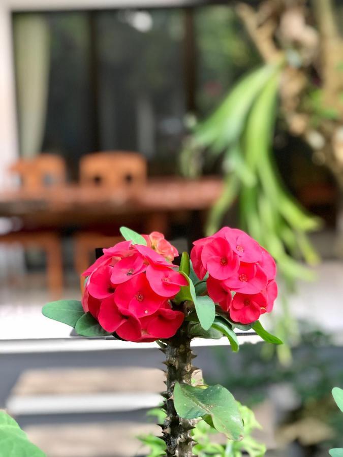 Bed & Breakfast The Hidden Bali Ubud (Bali)