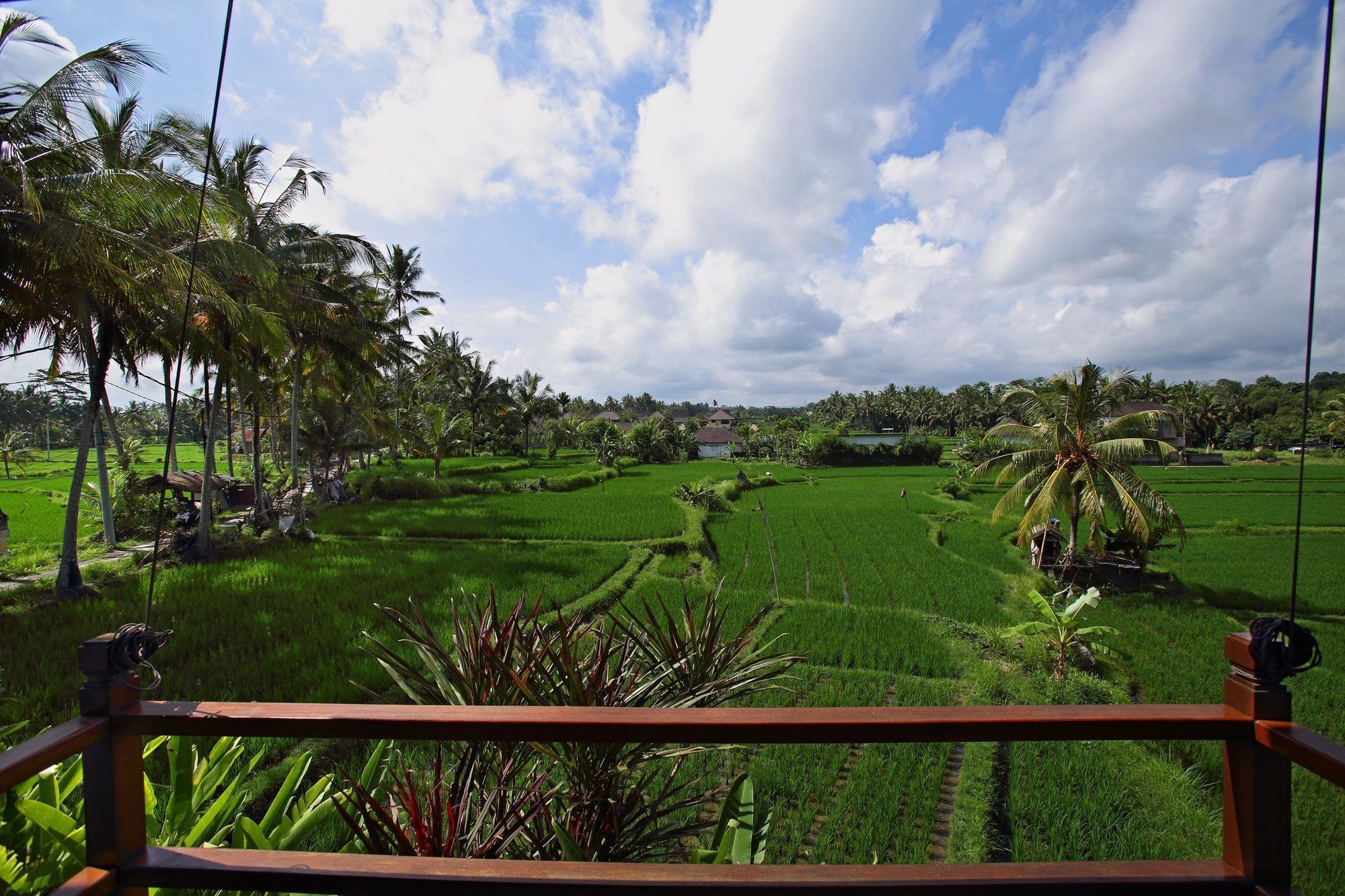 Satori Bali