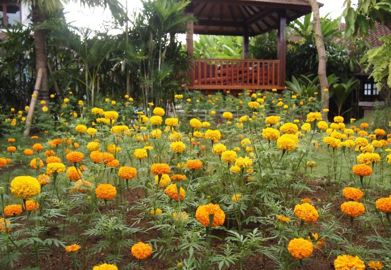 Hotel Yulia Village Ubud