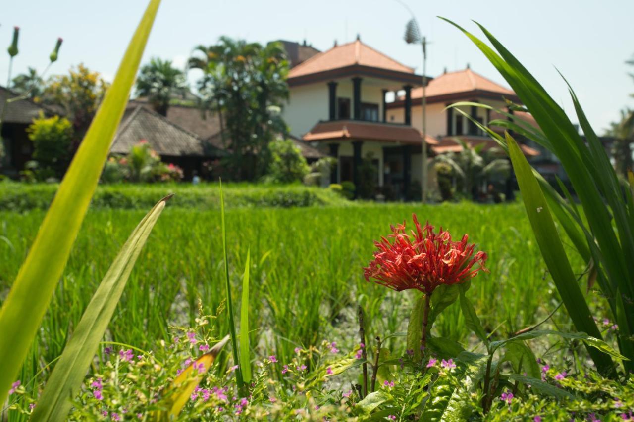 Wisma tamu Puji Hostel&bungalow 3*