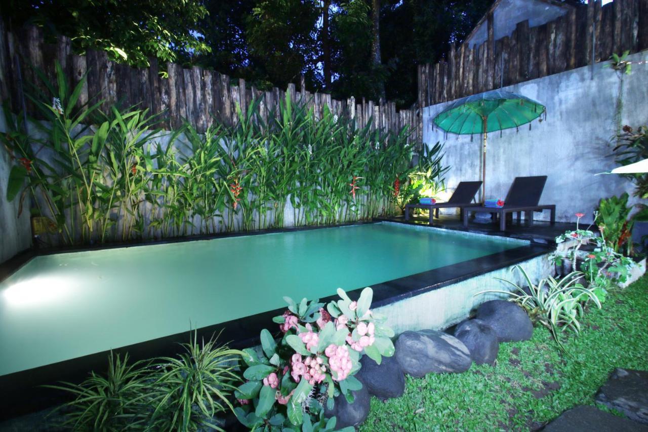 Villa The Forest