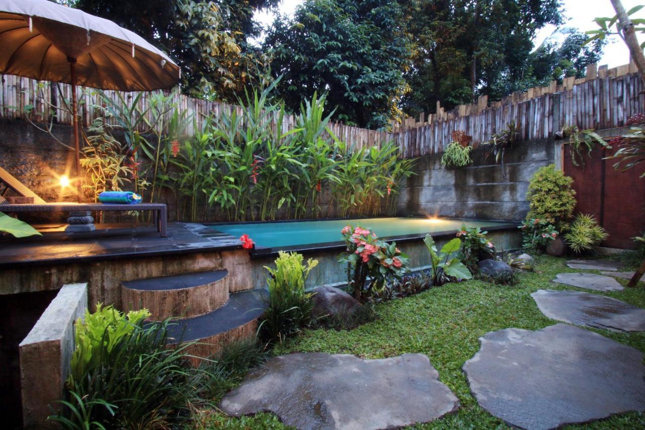 The Forest Villa