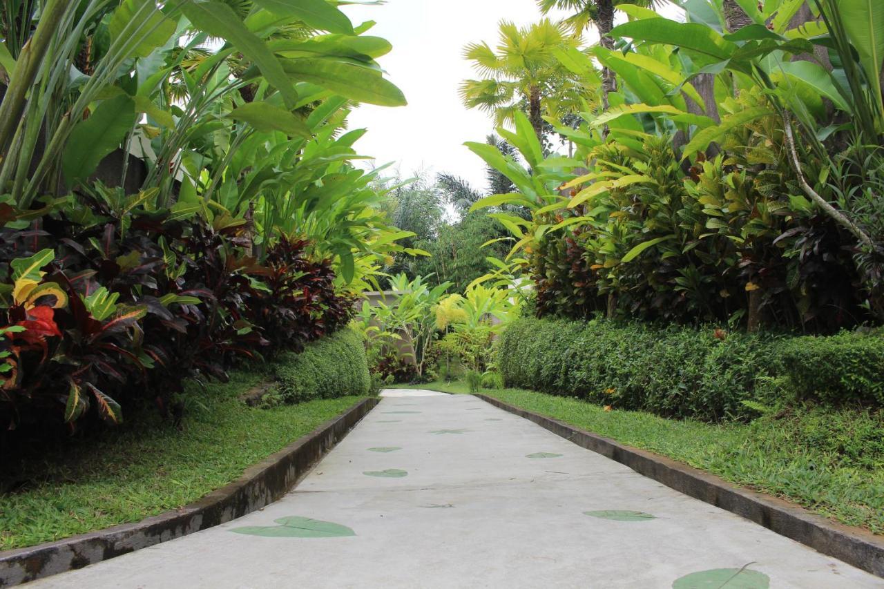 Senetan And Villa Ubud