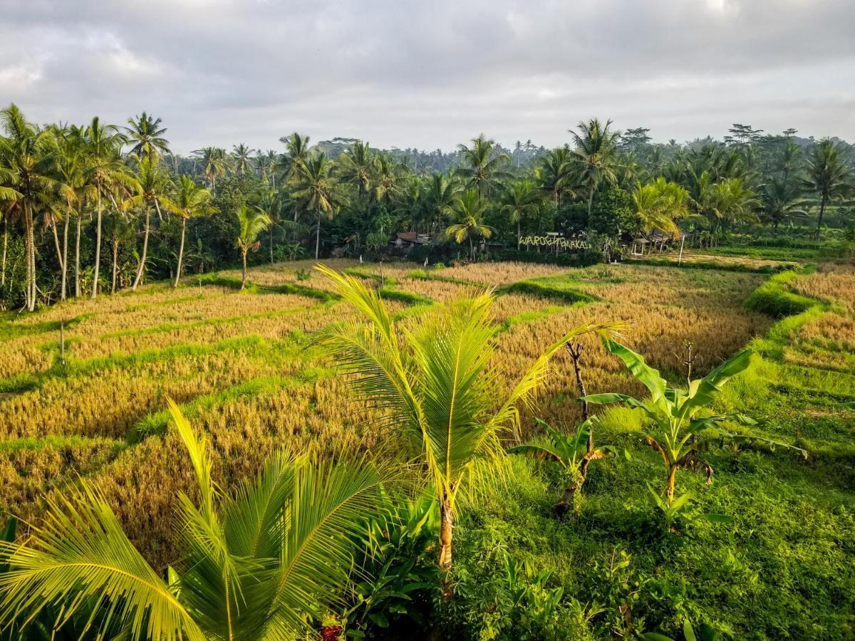 Gasthof Mancur Ubud