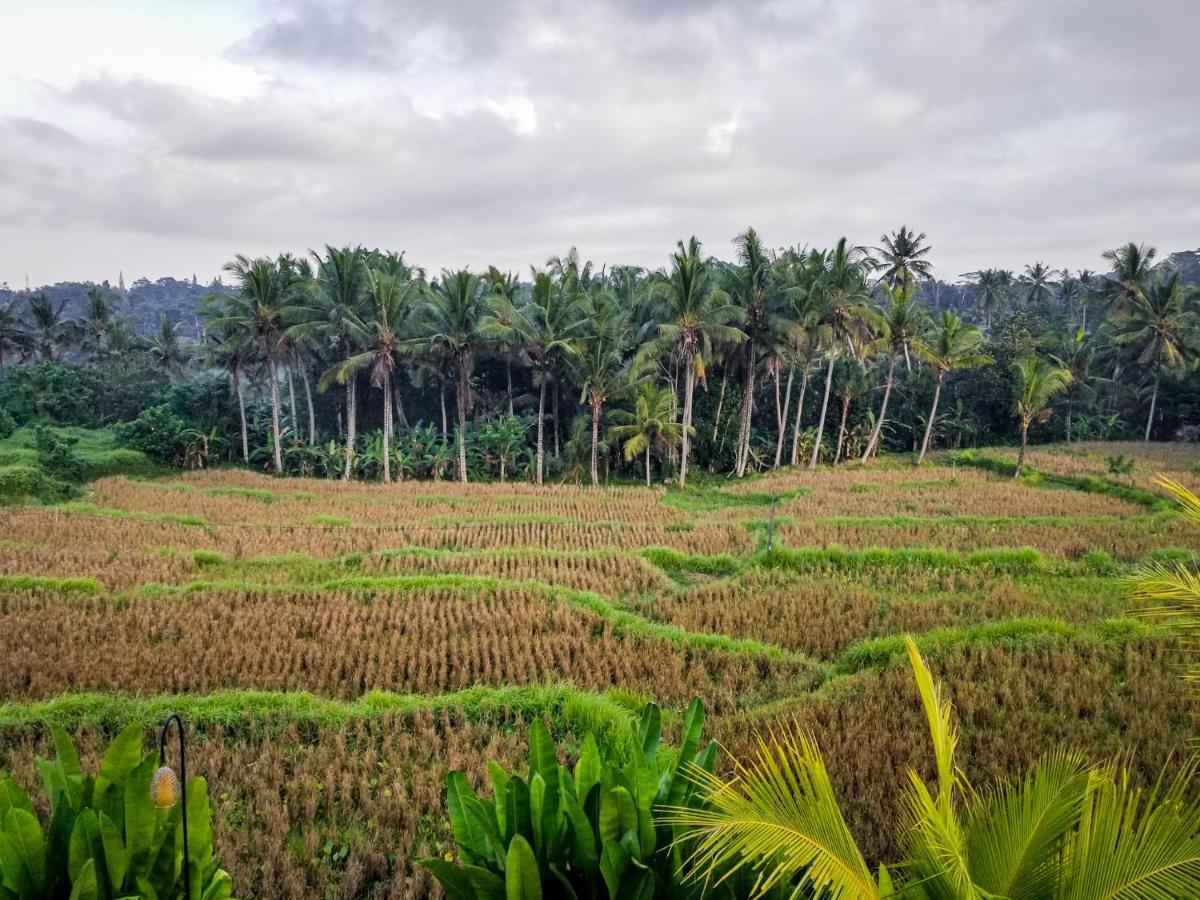Mancur Gasthof Ubud
