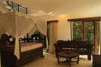View * Ubud (Bali)