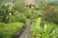 View Villa *