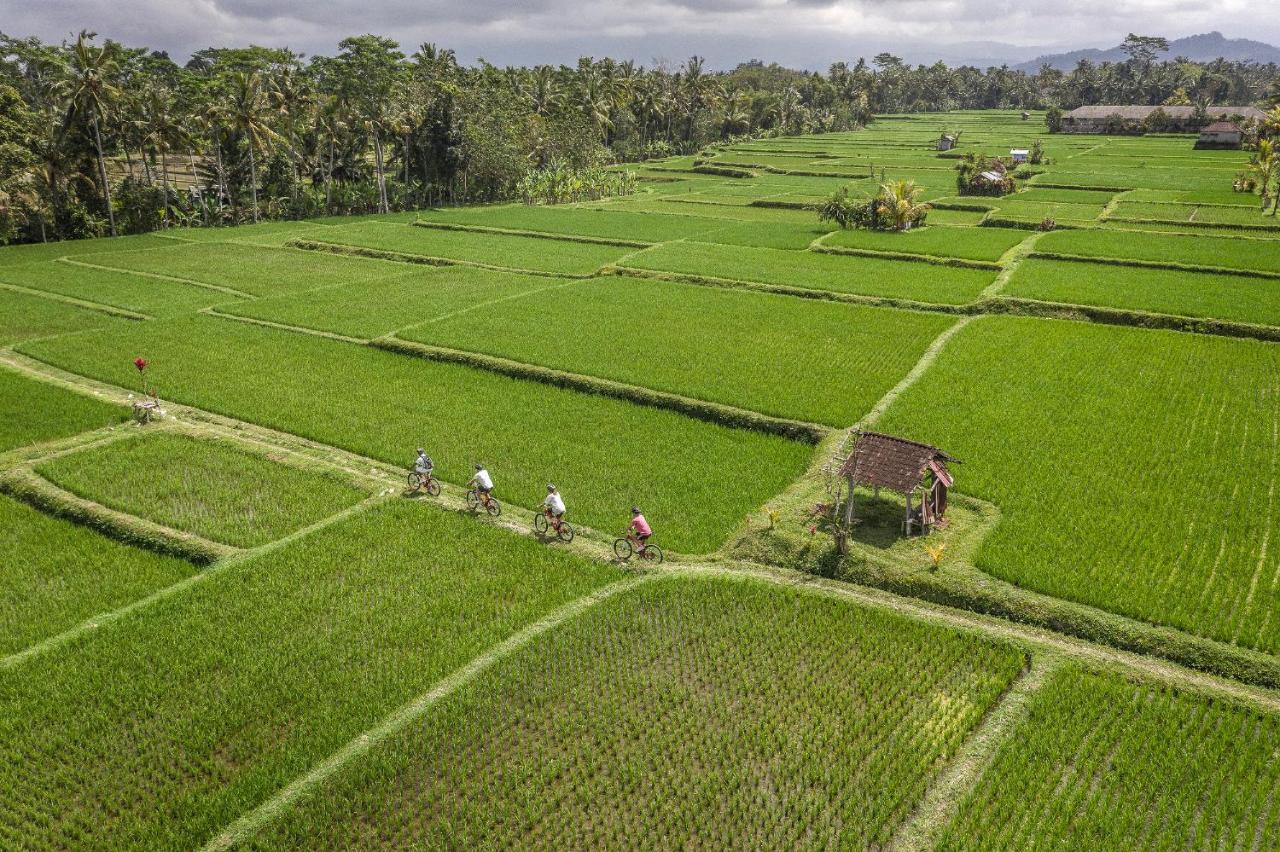 Four Seasons Bali At Sayan Ubud (Bali)