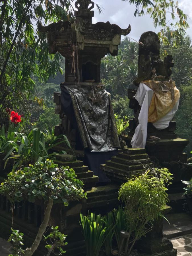 Villa Bali Villa Djodji