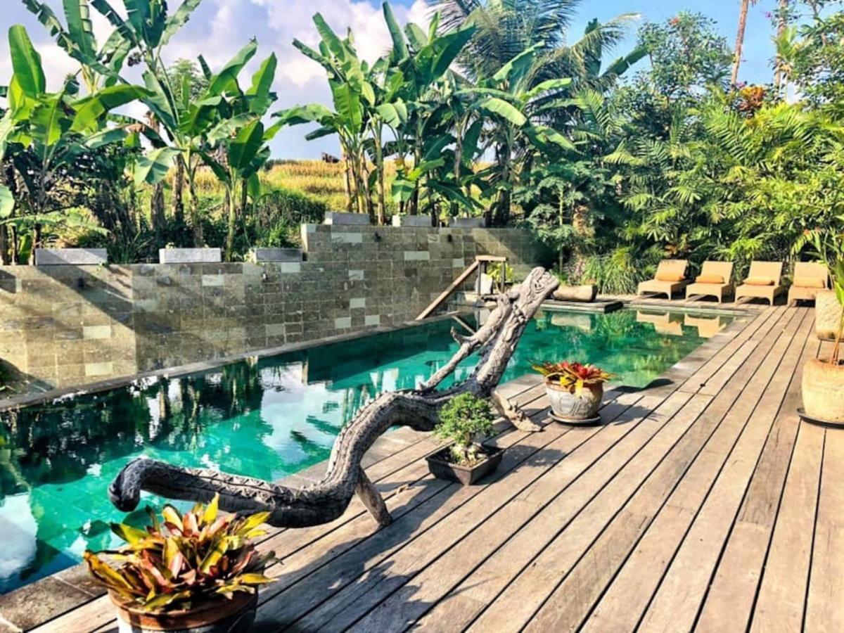 Dragon House - Your Dream House In Bali! Villa *