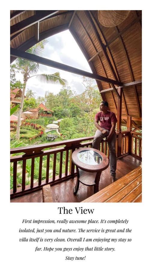The Jungle Family Villa *