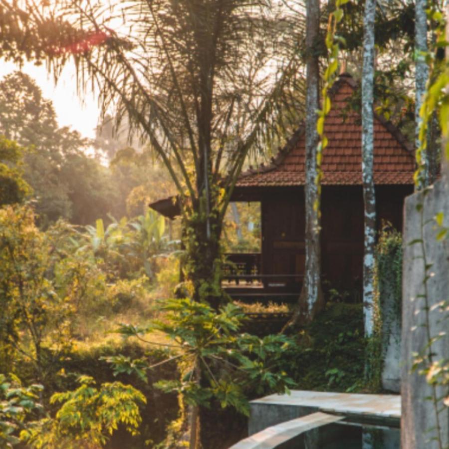 The Jungle Family Villa Ubud (Bali)