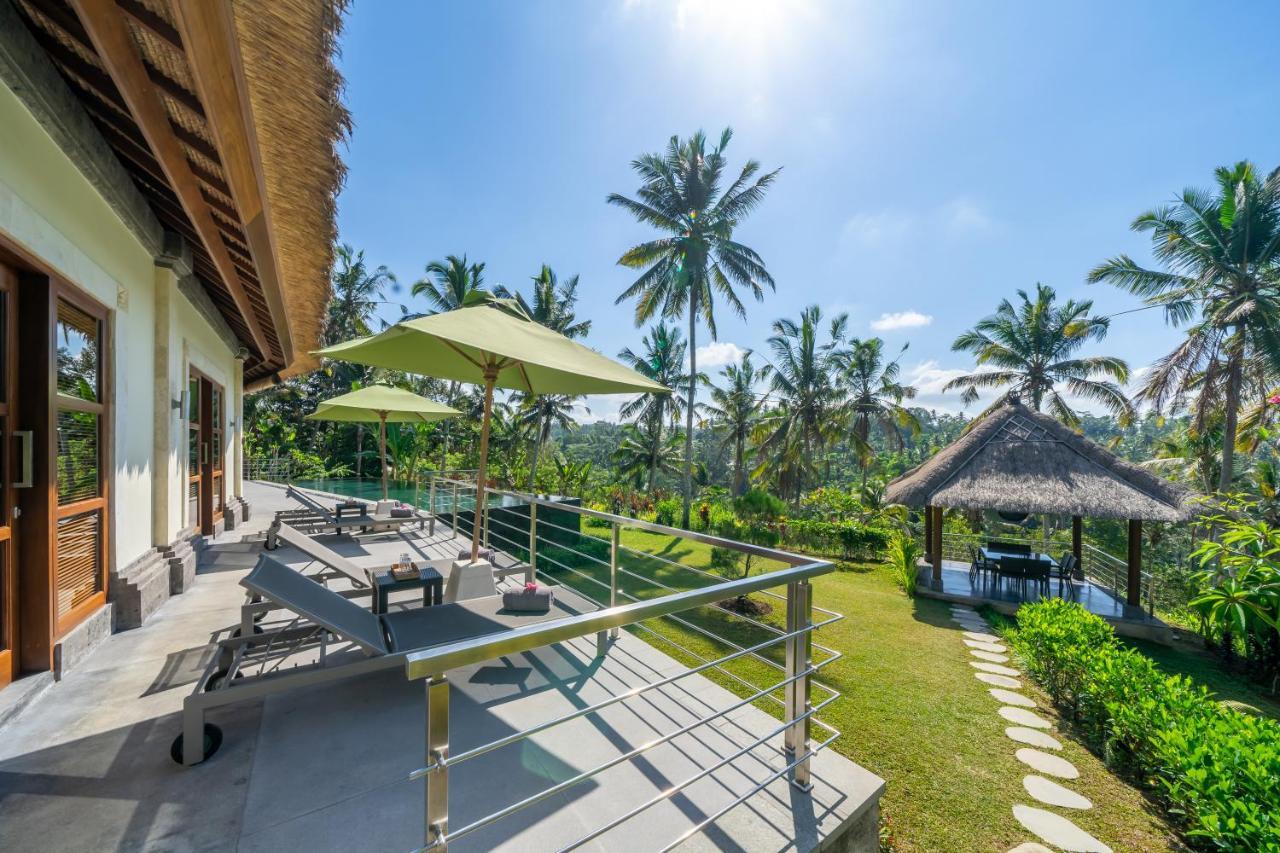 Themma Jungle - Sumptuous 3br Luxury With Majestic Jungle View North Of *