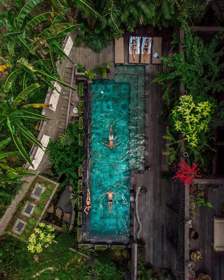 Villa Dragon House - Your Dream House In Bali! *