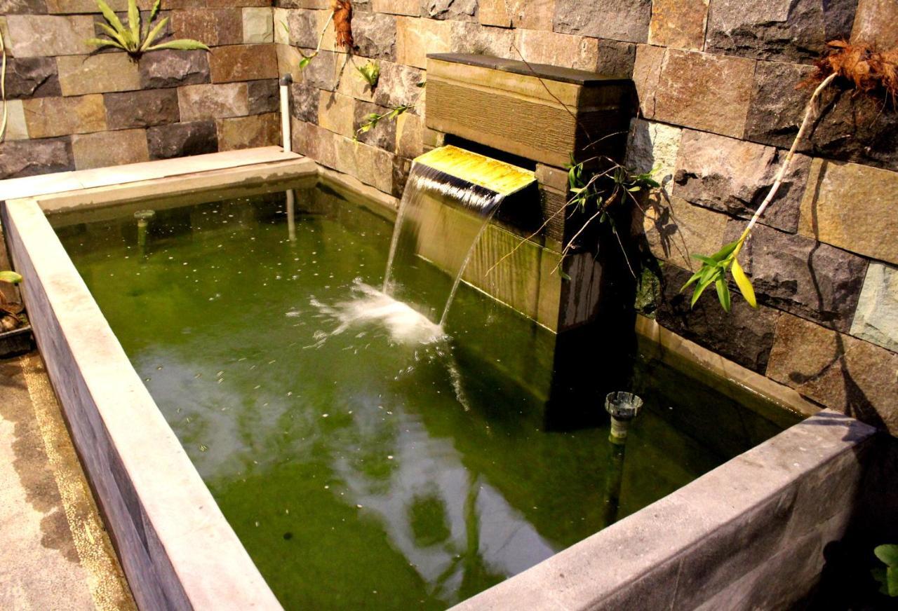 Yasa Backpackers House