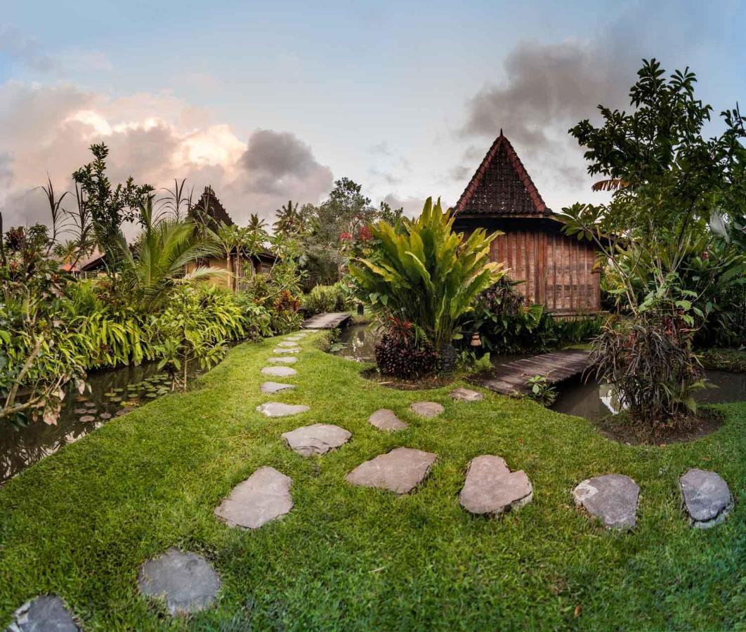 Dragonfly Village 3*