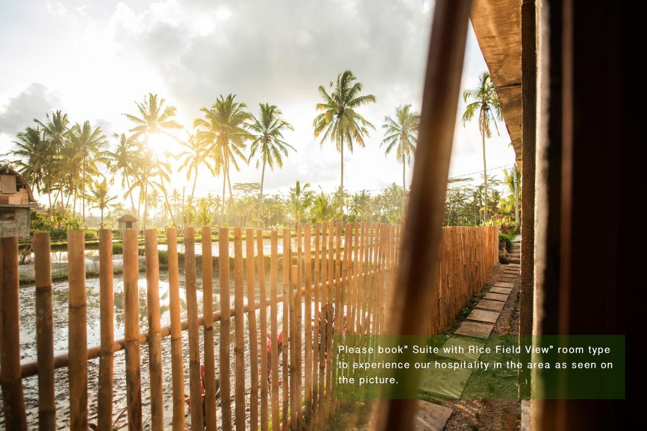 Guest house Ayu Duwur Beji Ubud (Bali)