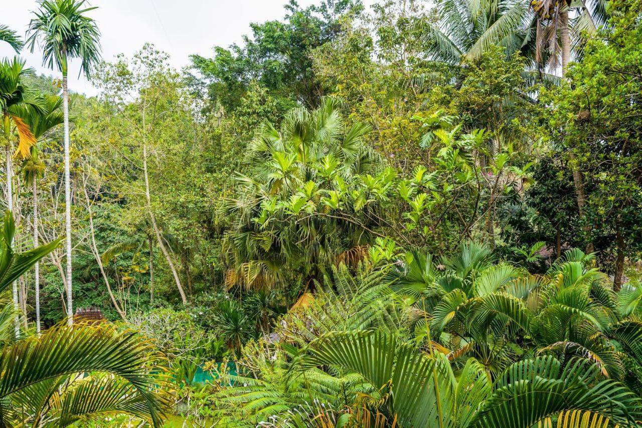 Beji Indah Ubud (Bali)