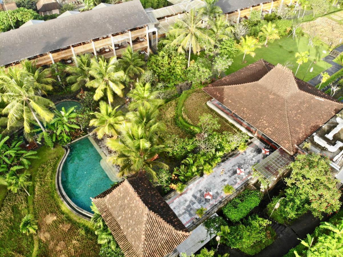 Alaya Resort